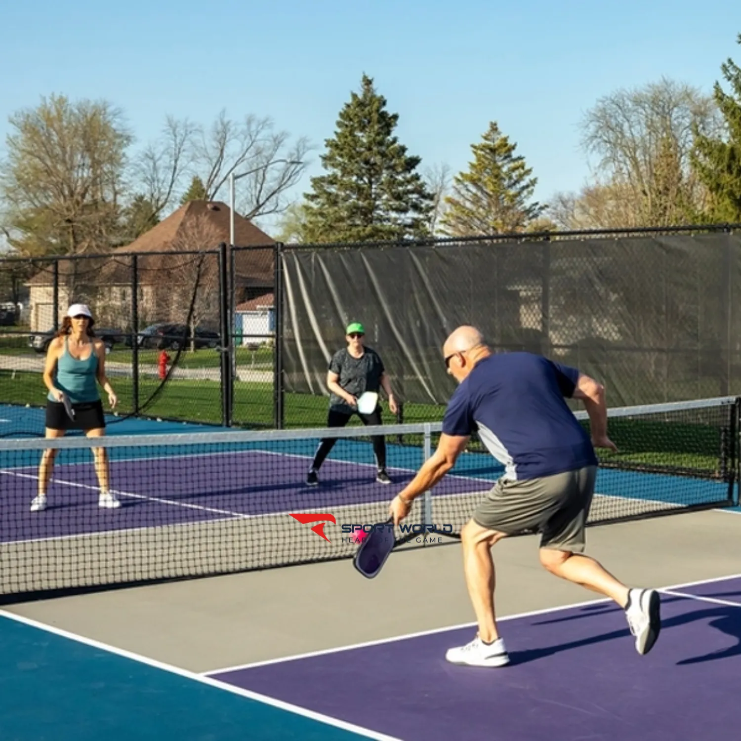 Volley Pickleball