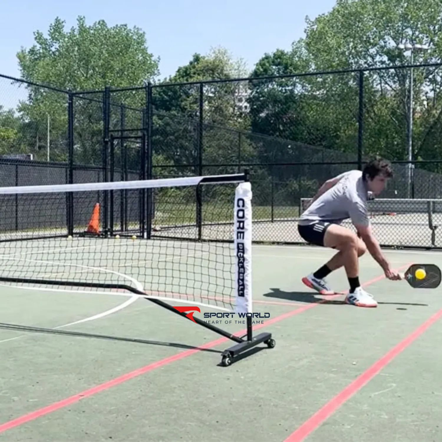 ATP pickleball