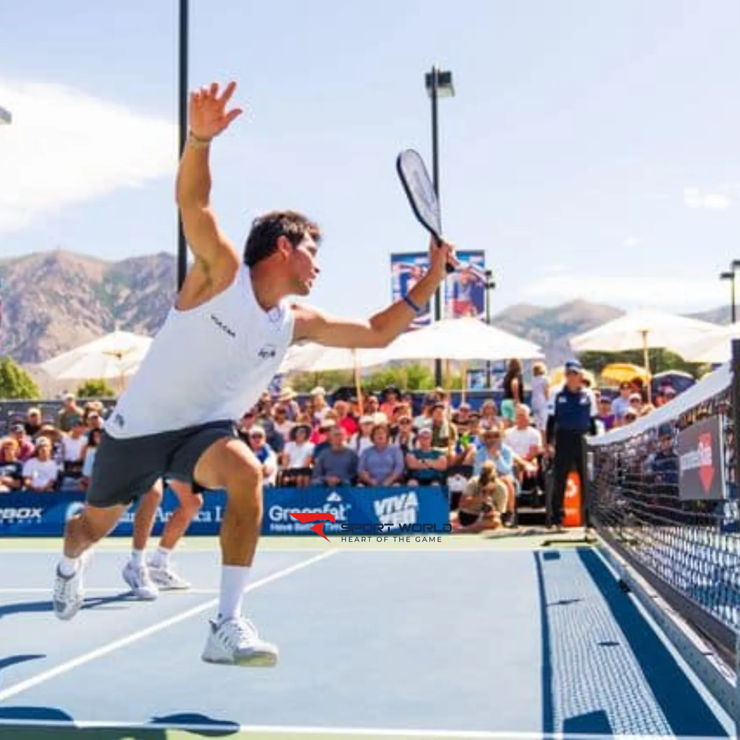 Erne Shot Pickleball