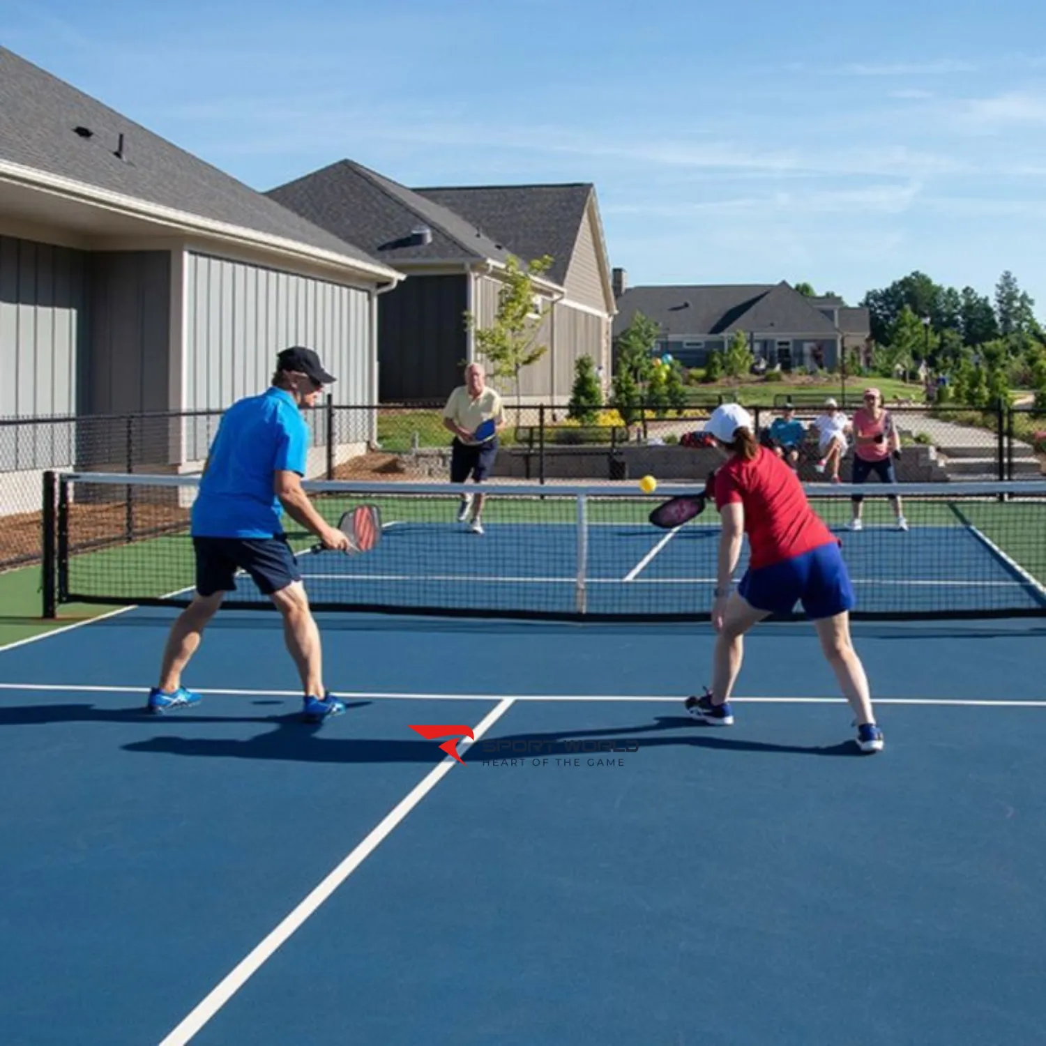 Nghiên cứu thị trường Pickleball