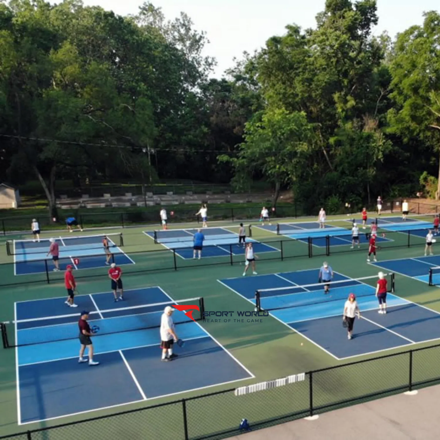 Nghiên cứu thị trường Pickleball