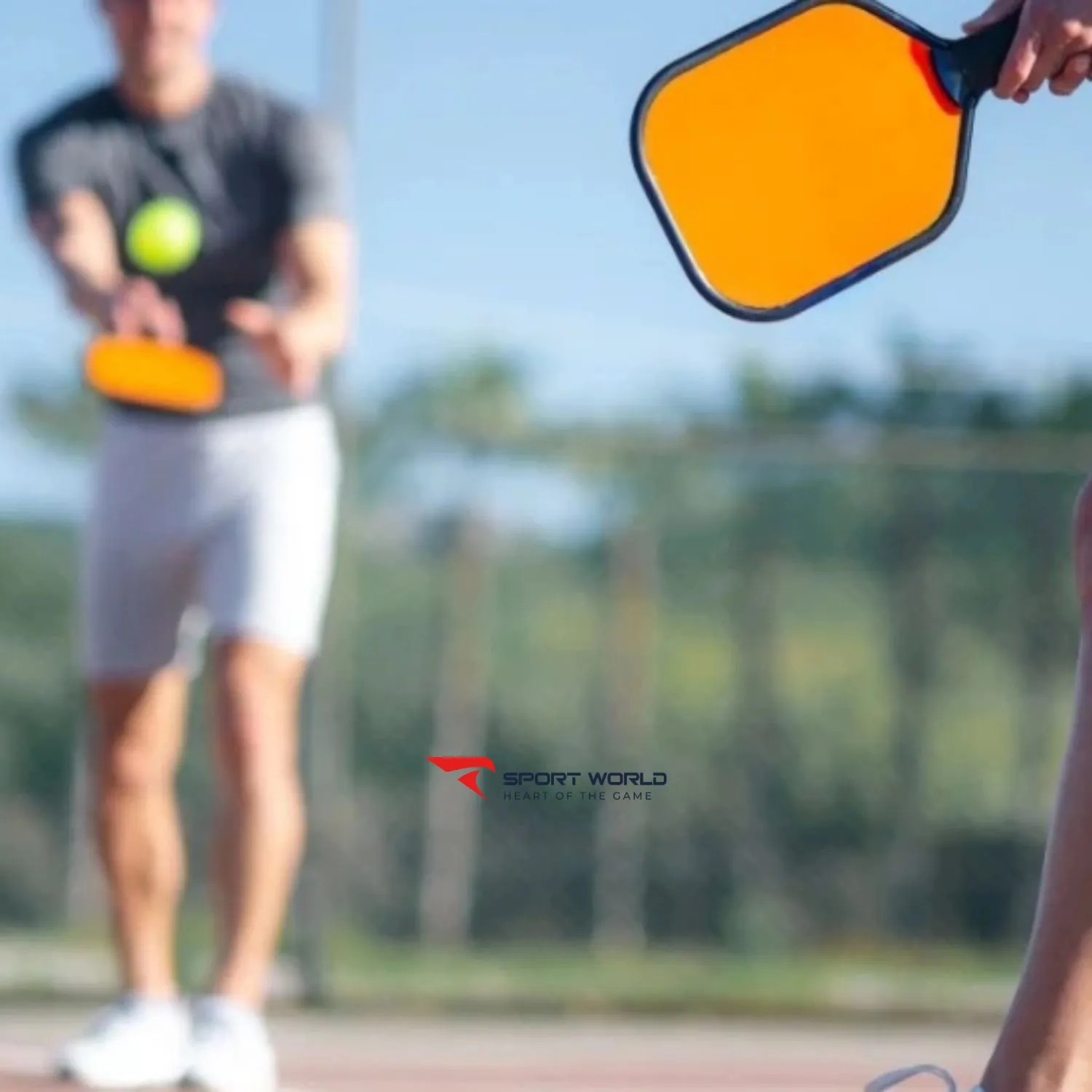 Giao b&oacute;ng trong pickleball