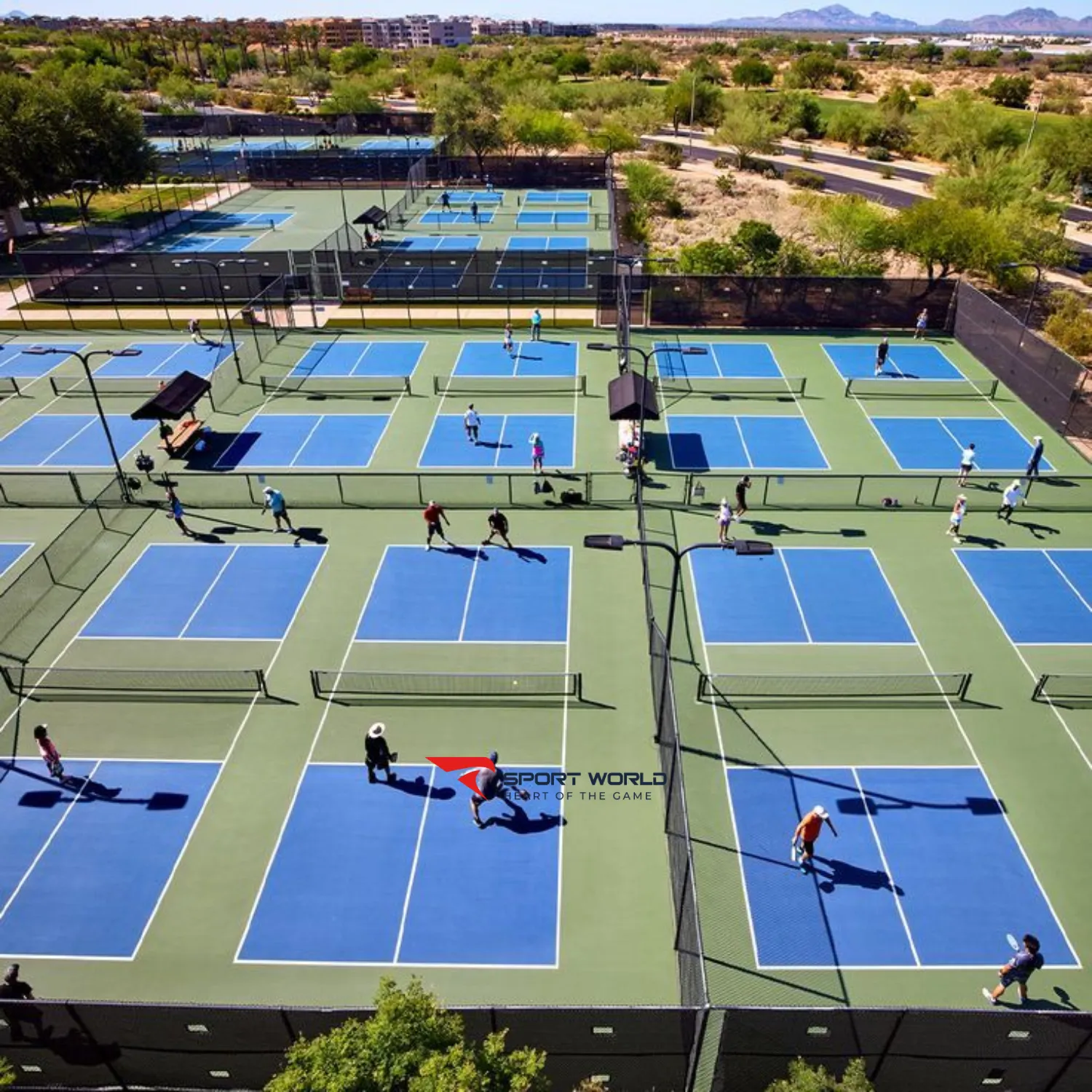 Xu hướng ph&aacute;t triển pickleball to&agrave;n cầu