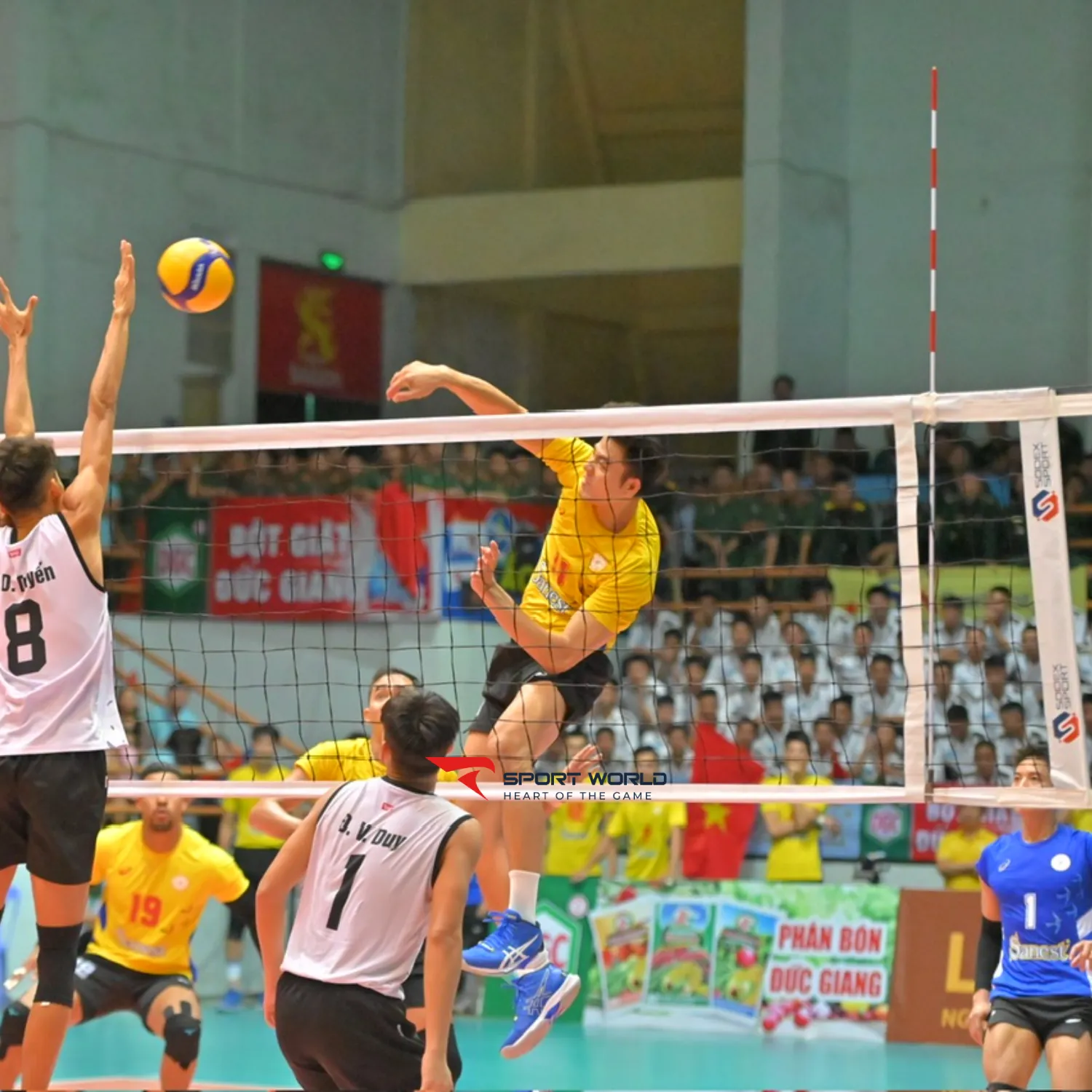 Lưới b&oacute;ng chuyền thi đấu Sodex Sport S30880