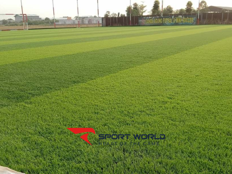 Cỏ nh&acirc;n tạo s&acirc;n b&oacute;ng SFC-381380D2