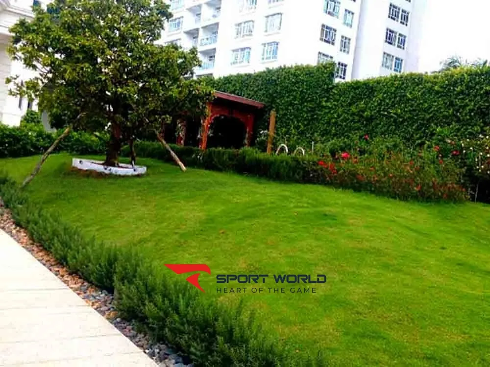 đồi cỏ nh&acirc;n tạo