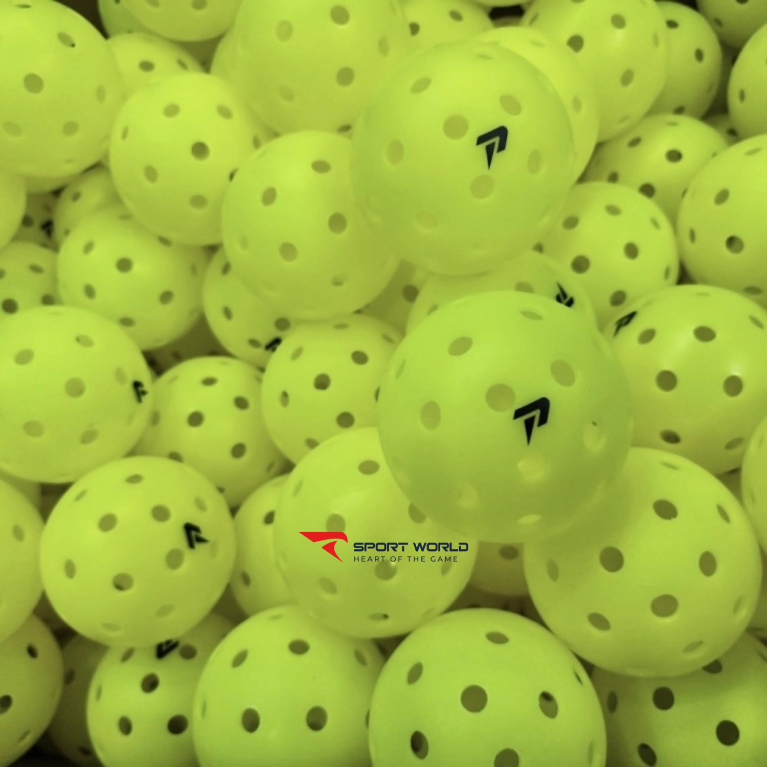 B&oacute;ng Pickleball Passion