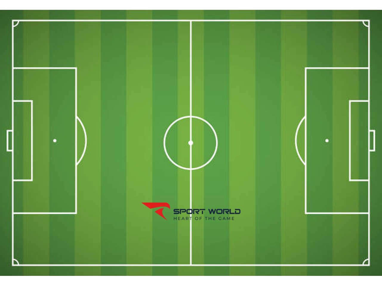 Kích thước chi tiết các khu vực trên sân 11 người