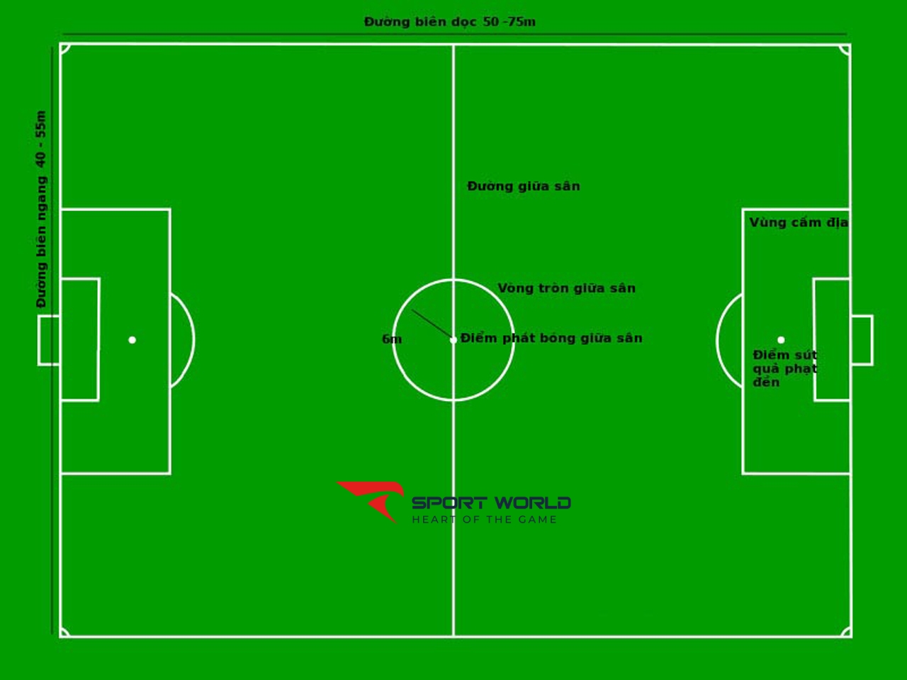 Kích thước sân bóng đá 7 người tiêu chuẩn liên quan