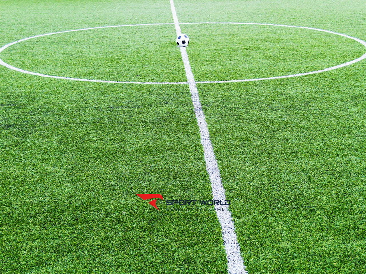 Các đường giới hạn