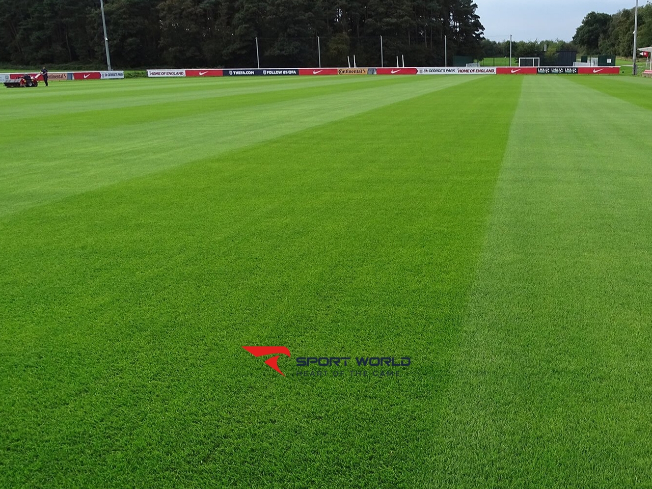 Sân cỏ tự nhiên