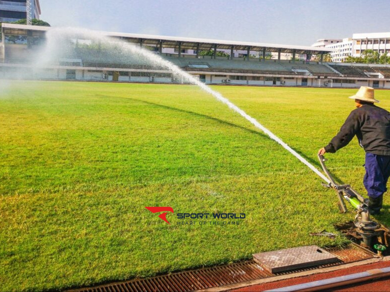 Chi phí vận hành và bảo dưỡng hàng năm sân cỏ tự nhiên