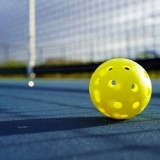 Bóng Pickleball