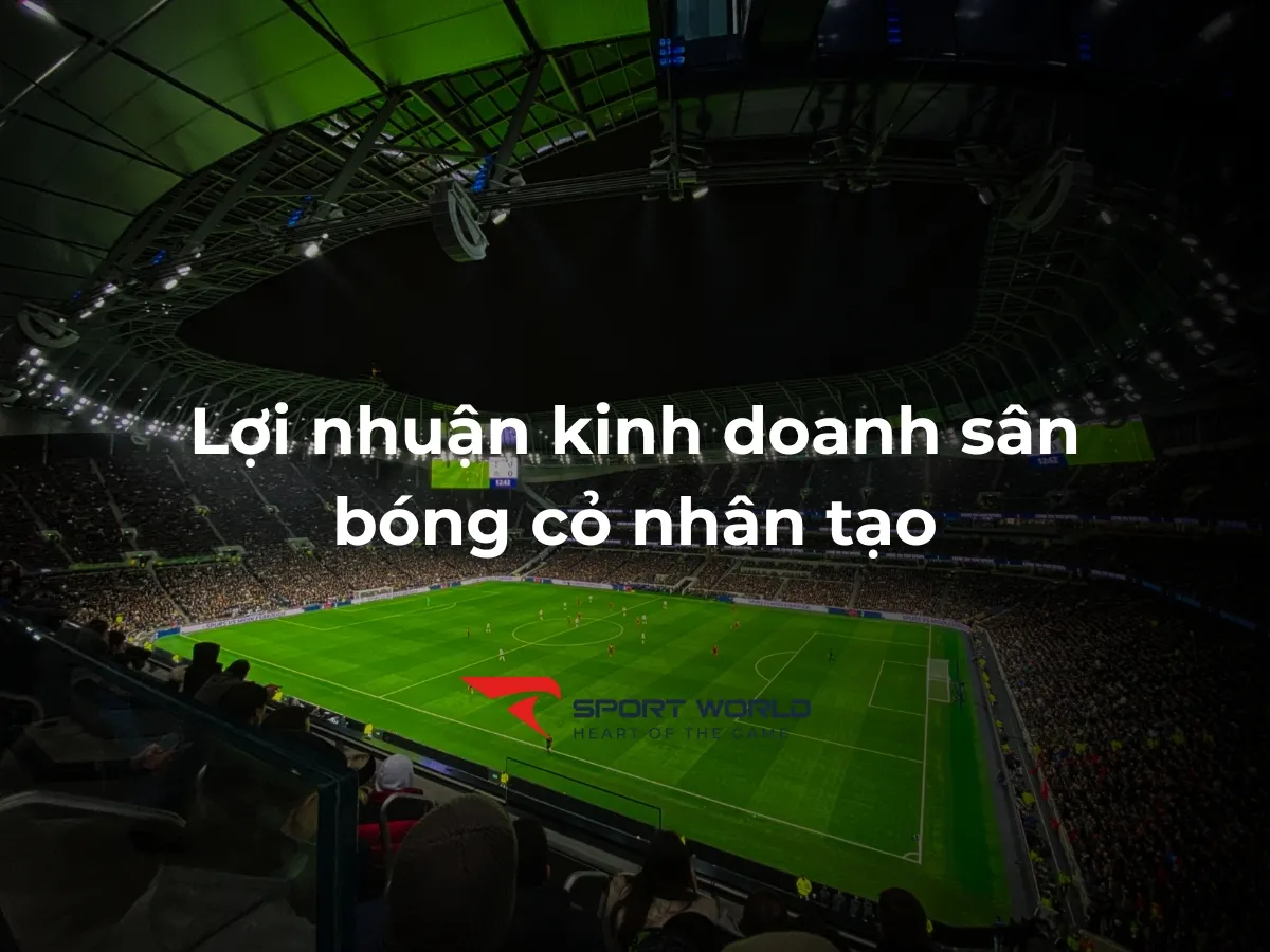 Phân tích thực tế lợi nhuận kinh doanh sân bóng đá cỏ nhân tạo