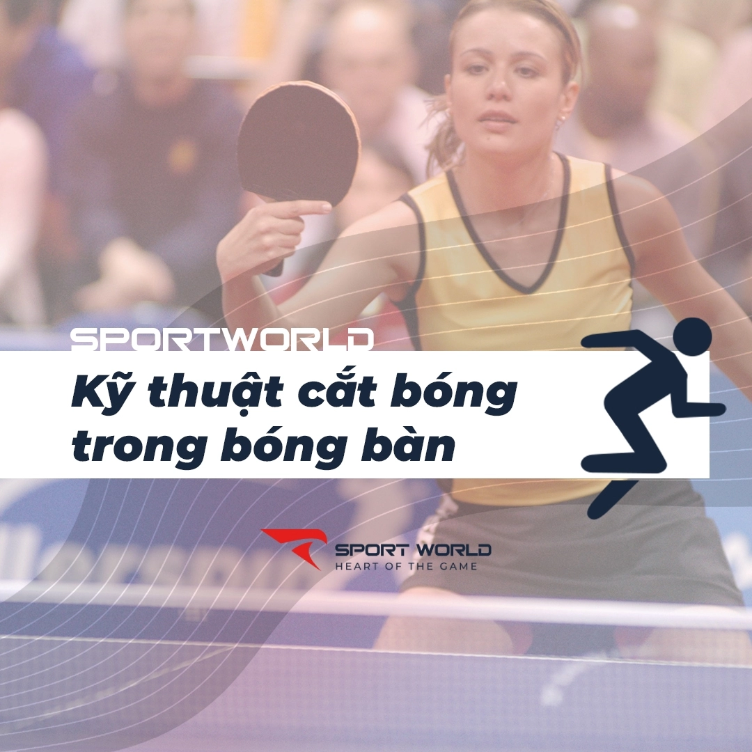 Tất tật về kỹ thuật cắt bóng bàn bạn nên biết để thi đấu hiệu quả