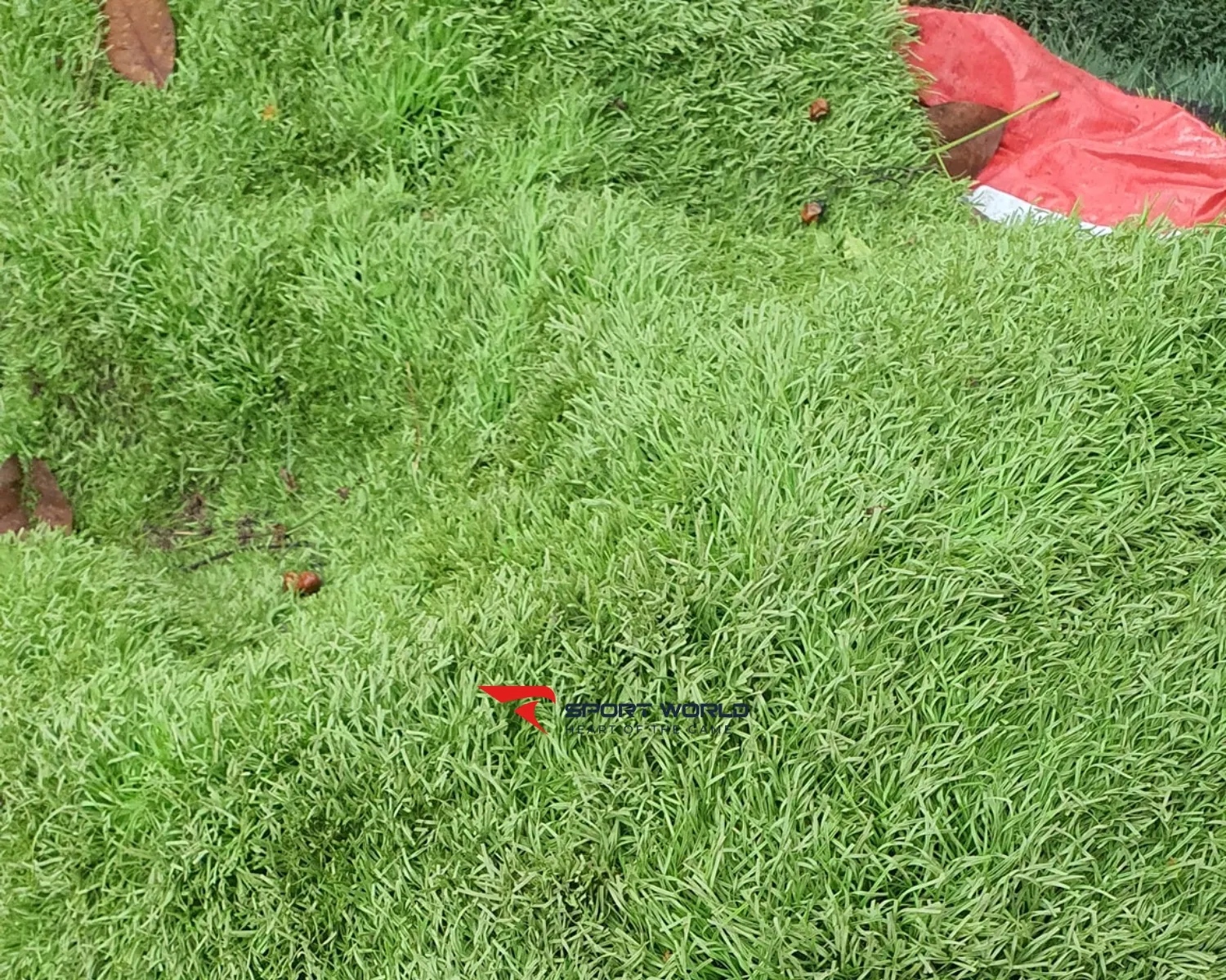 Cỏ nhân tạo thanh lý Miền Trung