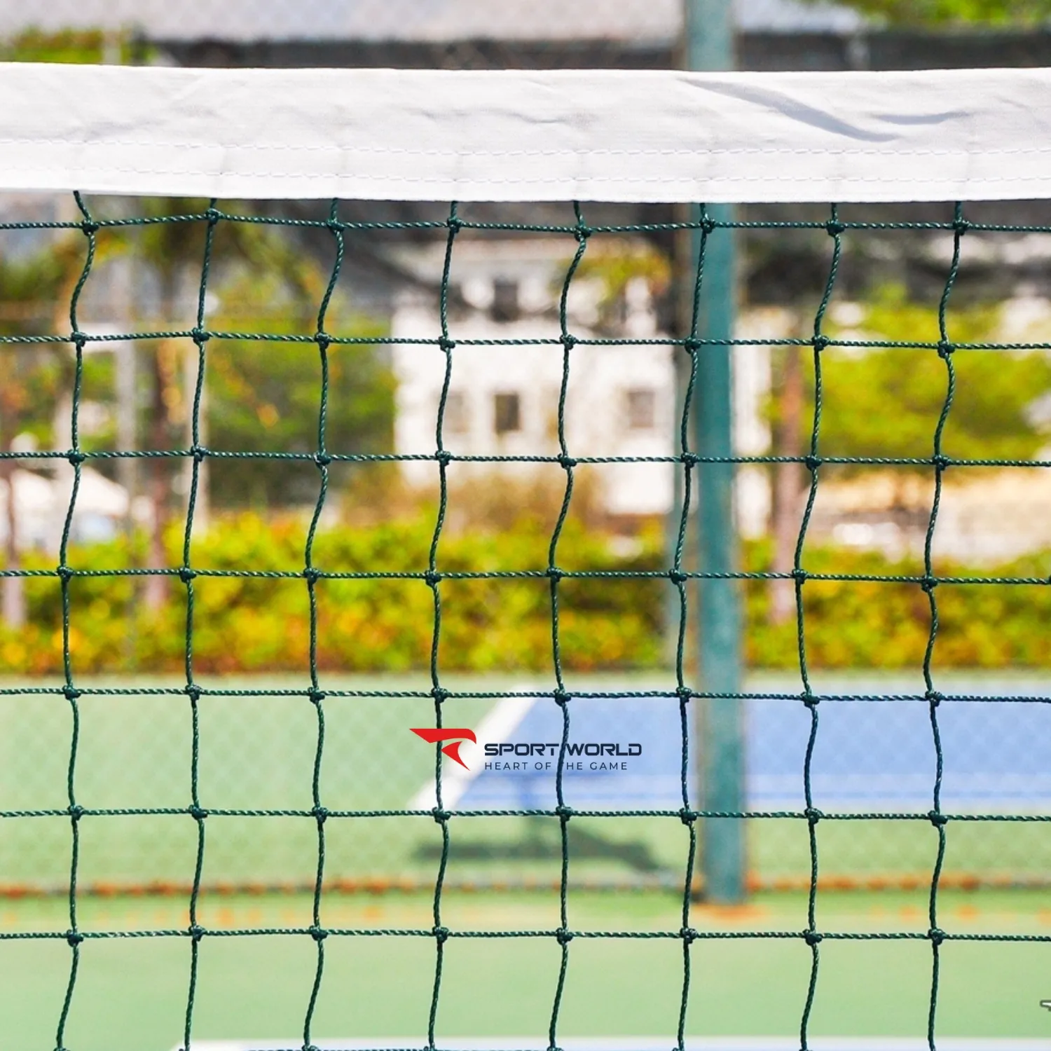 lưới pickleball 316046