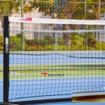 Lưới pickleball 317046
