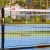 Lưới pickleball 317046