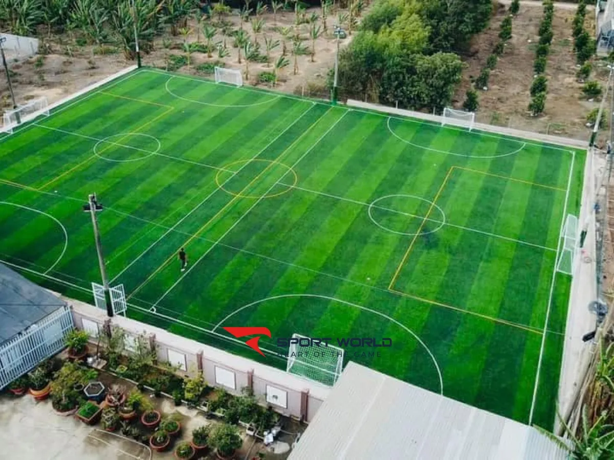 Sân Bóng Đá Cỏ Nhân Tạo 8T