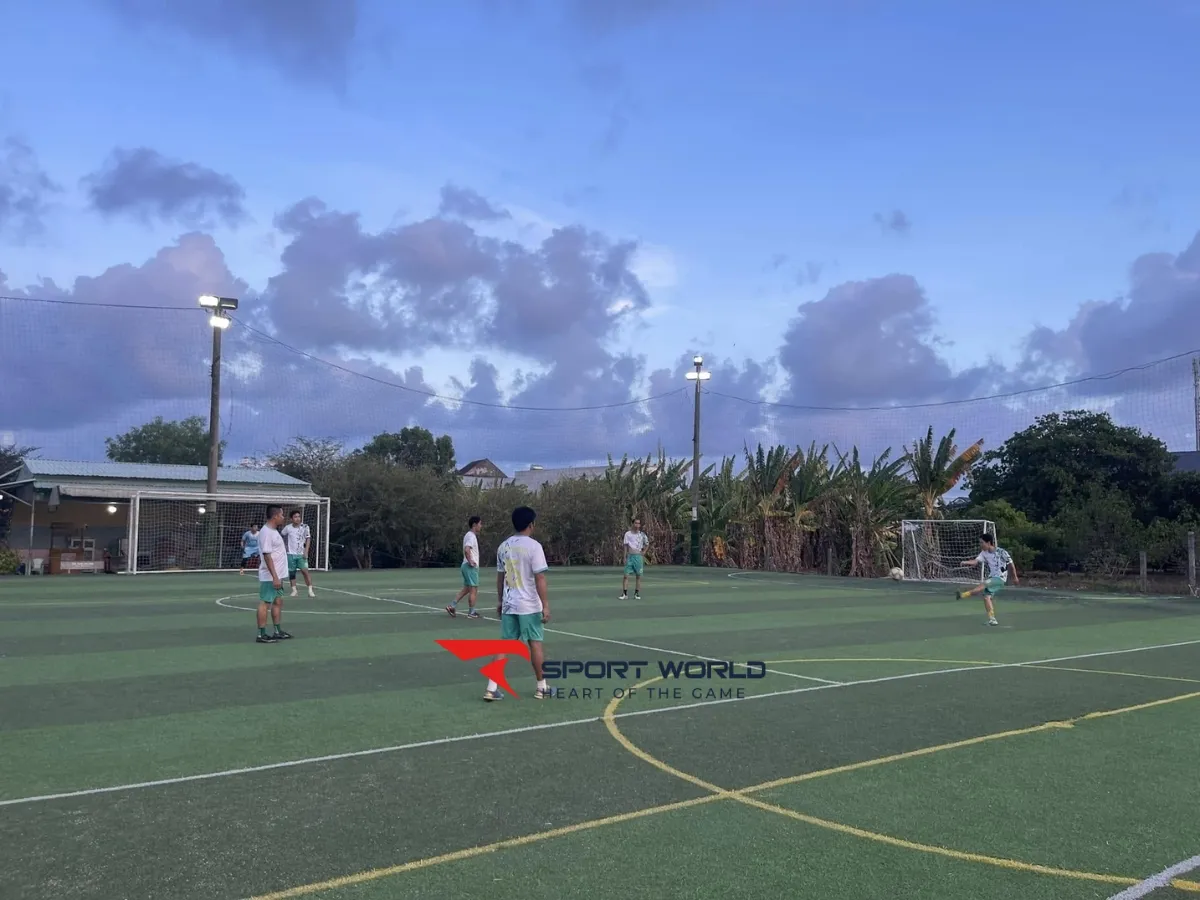 Sân Bóng Đá Cỏ Nhân Tạo 8T