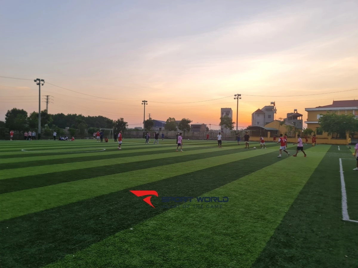 Sân bóng đá nhân tạo Việt Lập