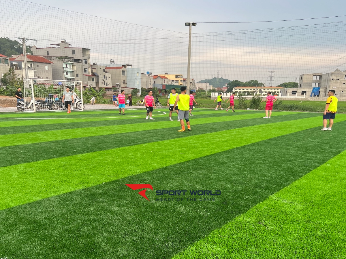 Sân bóng nhân tạo Vân Cốc