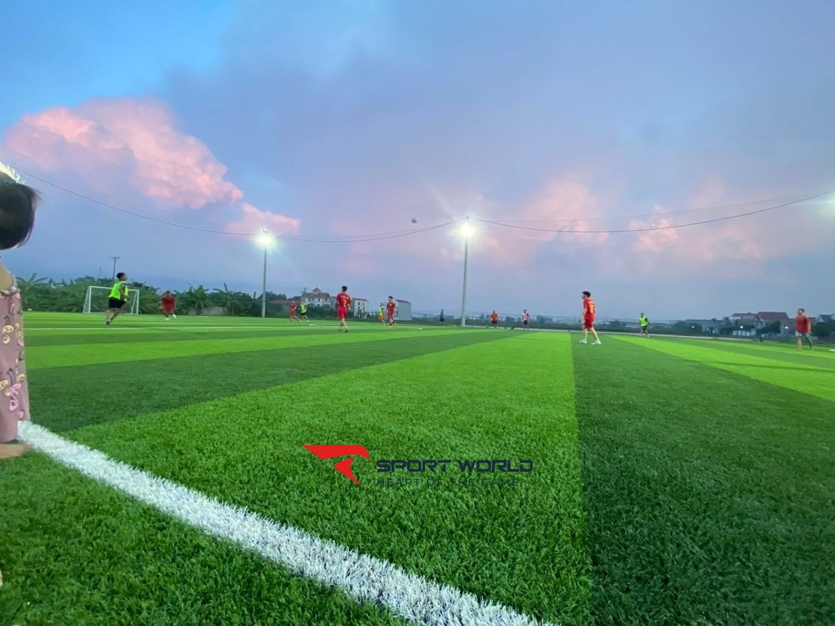 Sân bóng đá Đại Vĩ