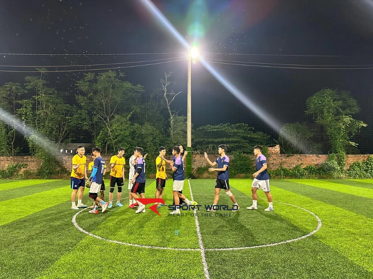 Sân bóng đá 1993