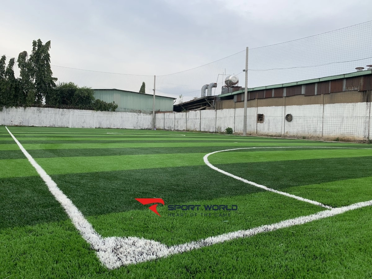 Sân bóng đá TNG Thái Bình Dương