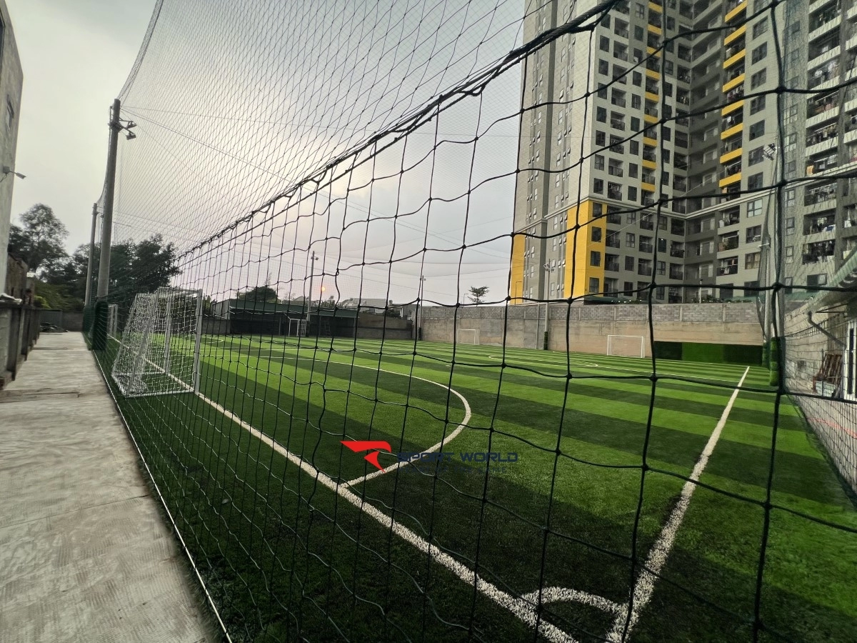 Sân bóng Tân Hòa