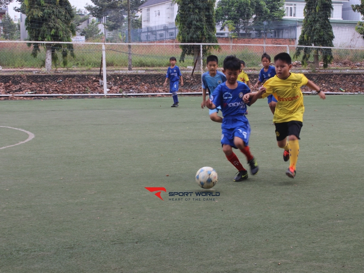 Sân Bóng Đá Futsal - Mini