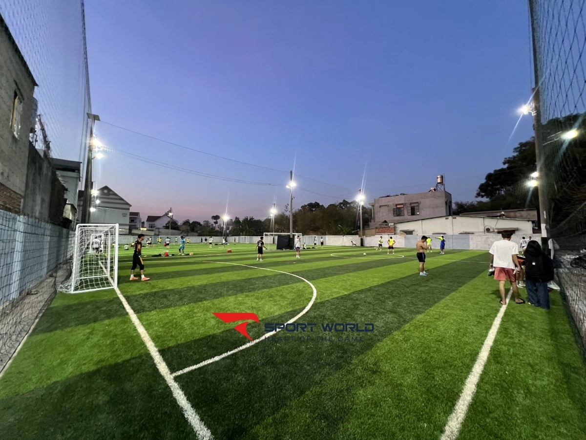 Sân bóng đá & cầu lông Panda Stadium