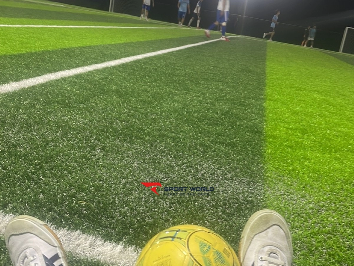 Sân bóng đá nhân tạo T&T