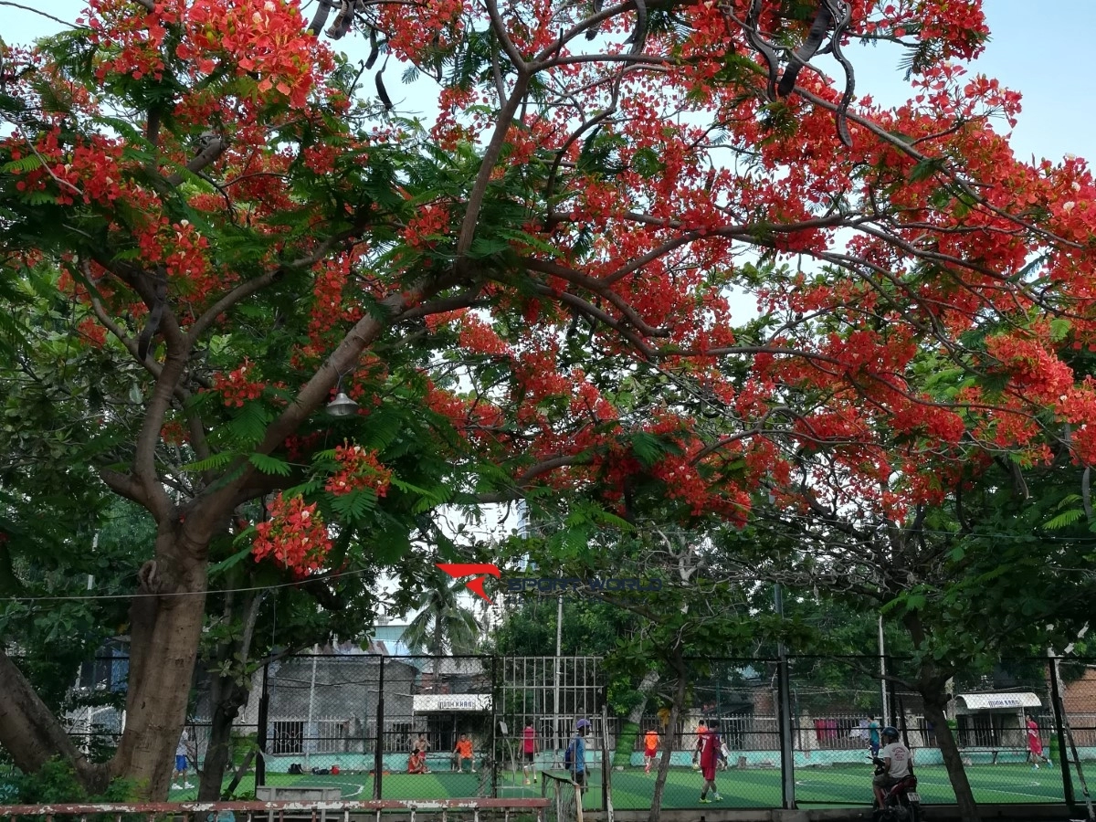 Sân bóng đá Trung tâm TDTT Thành phố Phan Thiết