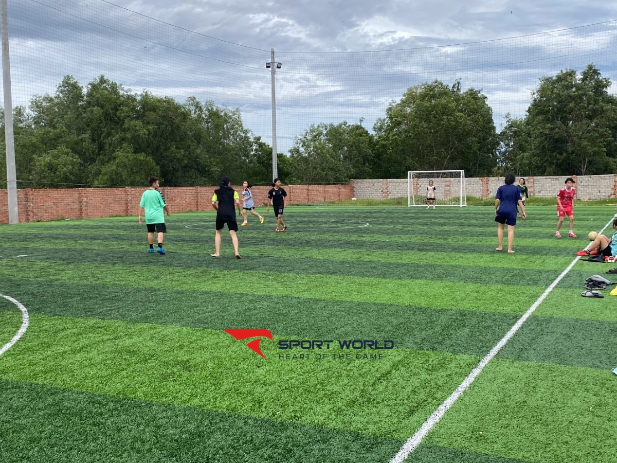 Sân bóng cỏ nhân tạo Kim Trinh