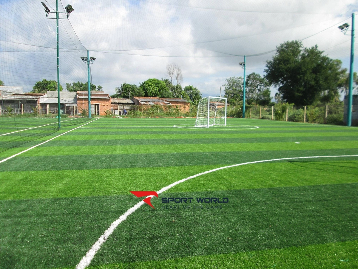 Sân cỏ nhân tạo Đội 29