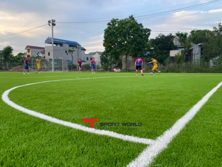 Sân Bóng Cỏ Nhân Tạo Thụy Hương