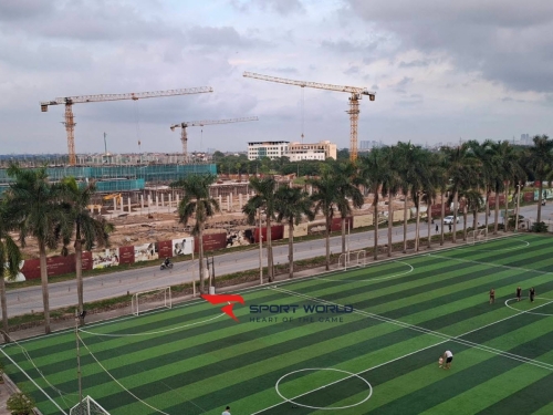 Sân Bóng Tân Hội