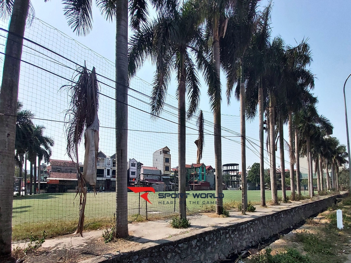 Sân Bóng Tân Hội