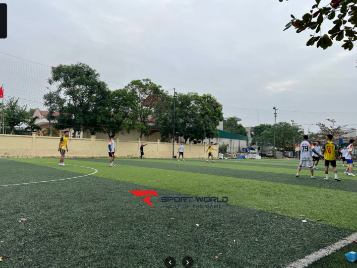 Sân bóng cỏ nhân tạo tổ 5 thị trấn Chi Đông