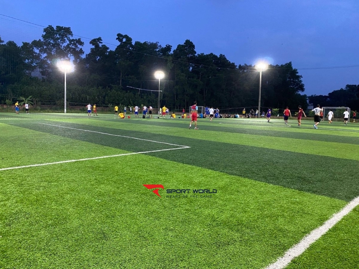 Sân bóng cỏ nhân tạo Cao Long