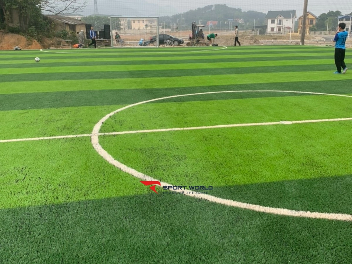 Sân bóng cỏ nhân tạo Hưng Đen