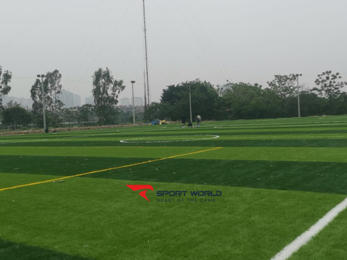 Sân bóng Tân Triều