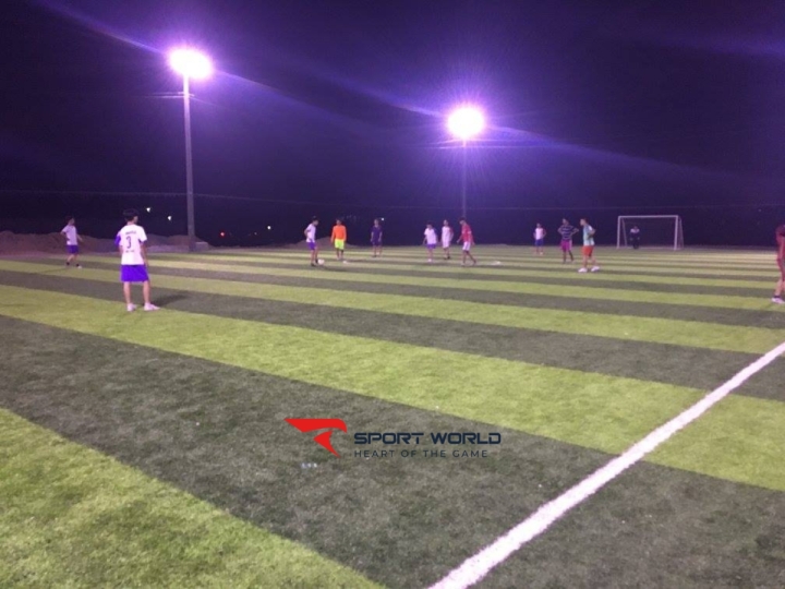 Sân bóng đá nhân tạo Tía - Thường Tín HN