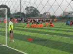 Sân bóng đá nhân tạo Tía - Thường Tín HN