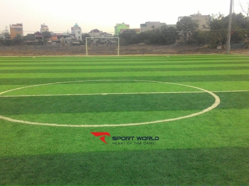 Sân bóng đá nhân tạo Tía - Thường Tín HN