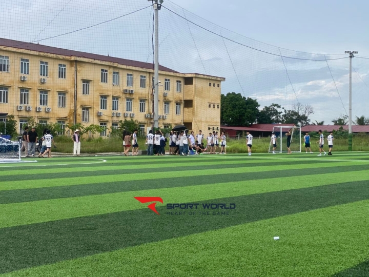 Sân cỏ nhân tạo Hồng Đức