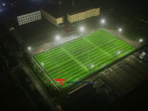 Sân cỏ nhân tạo Hồng Đức