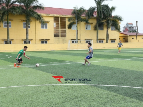 Sân bóng đá nhân tạo Hồng Phong